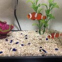 泣く泣く。