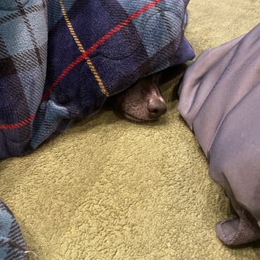 の写真