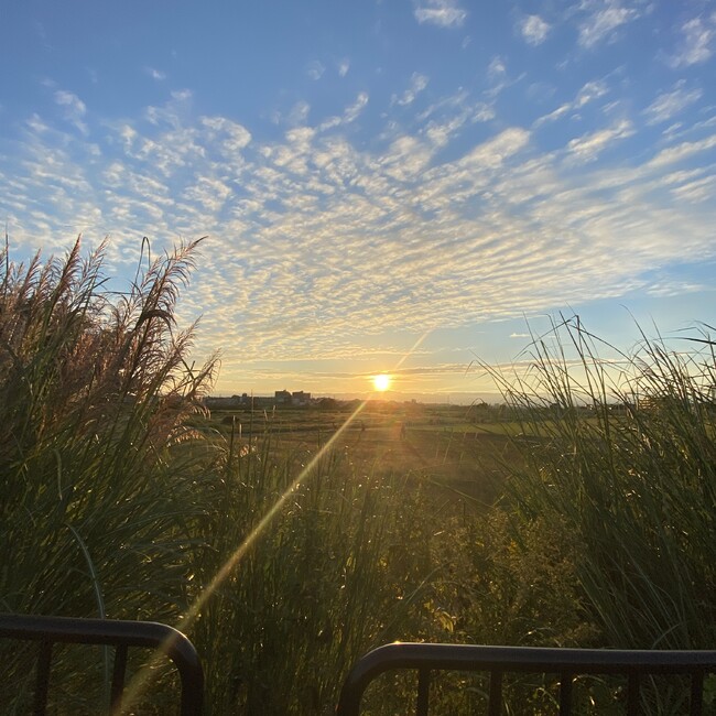 maicooのカバー写真