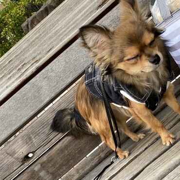 after the walk&run, I am sleepy a bit..