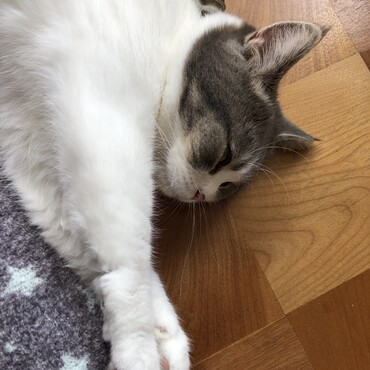 暑いからクールダウン中