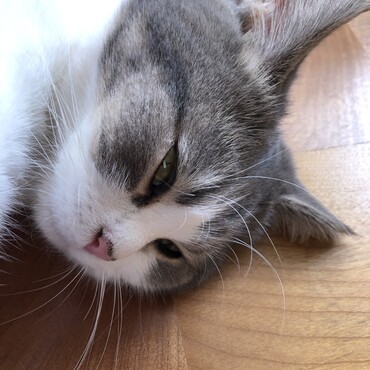 アップはやめて！放心状態だから、、、