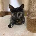 逆パンダ顔がチャームポイント