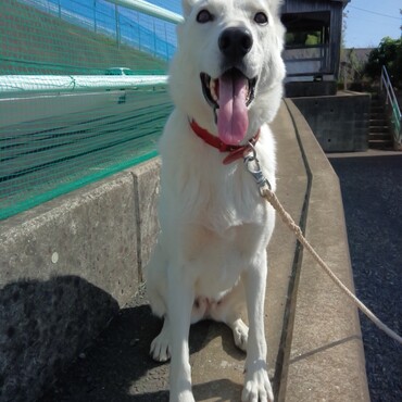 おてんば娘　なな　