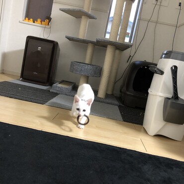 これ飛ばして〜
