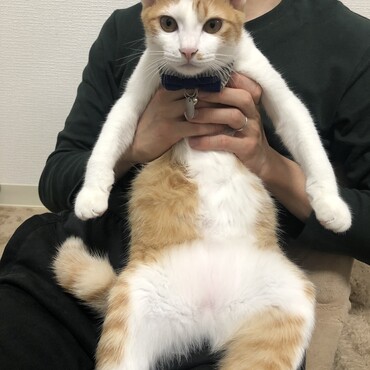 の写真