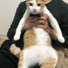 の写真