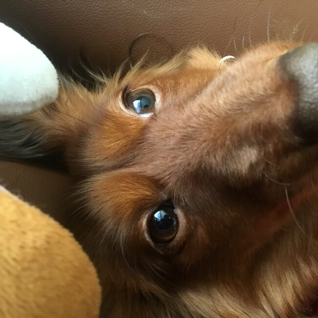 shimo00のカバー写真