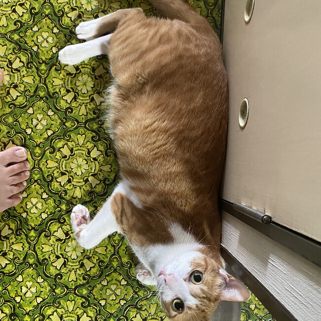まるまる712のカバー写真
