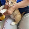 明るい性格、天真爛漫、物おじ無しの可愛い子ちゃん。