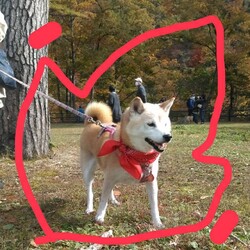 赤いリボンの日♥と…紅葉狩りと…❤(ӦｖӦ｡)