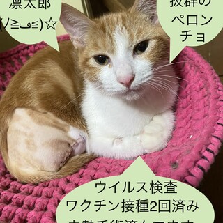 ありがとうございました