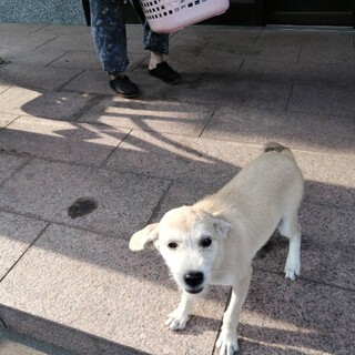 ずっと可愛がってください