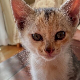 たくさんの愛情を注いでください