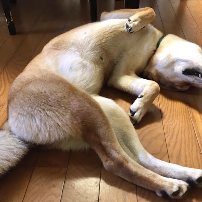 Rickruiz22のカバー写真