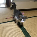 ゴロゴロ甘える美人顔の女の子