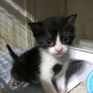 甘えん坊のやんちゃ姫雅ちゃん