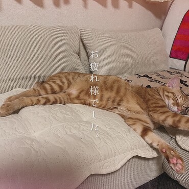 お疲れ様☺️