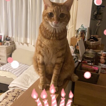 ✨3歳の誕生日✨おめでとう