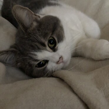 おはよう〜