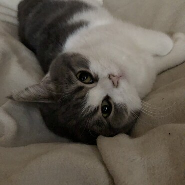 寝起きのあたし