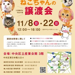 ねこざんまい譲渡会＠東日本橋