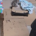 【急募】子猫の三毛猫ちゃん！