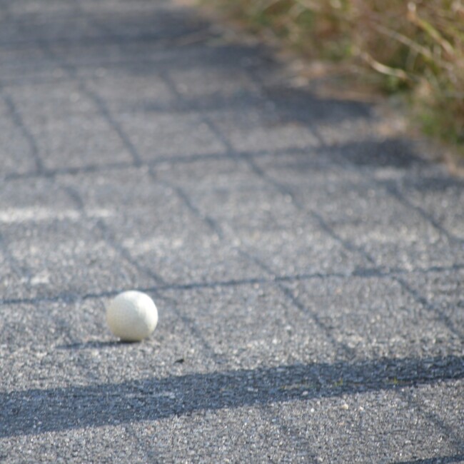 manya8008のカバー写真