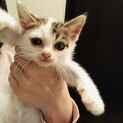 生涯可愛がっていただける方募集します！