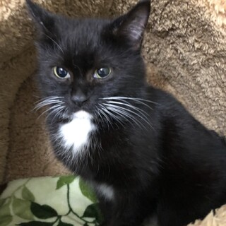 ゴロゴロ可愛い★杏ちゃん