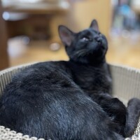 伊勢 琉生（るい）