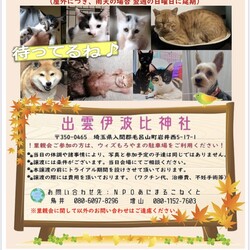 出雲伊波比神社里親会