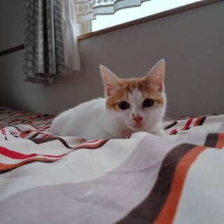 とても元気な女の子です！