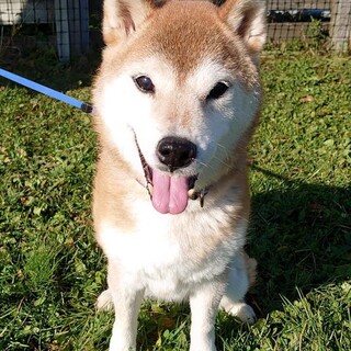 魅惑のスマイル蝶子さん♀