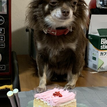 の写真