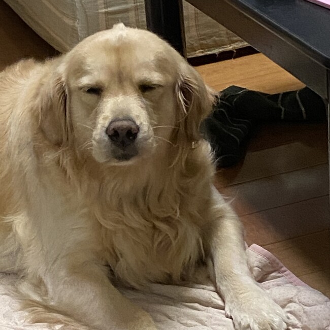 y.masaのカバー写真