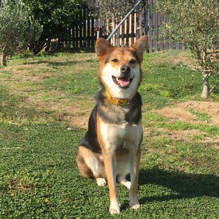 クールに見えて超甘えん坊な“バルトくん”