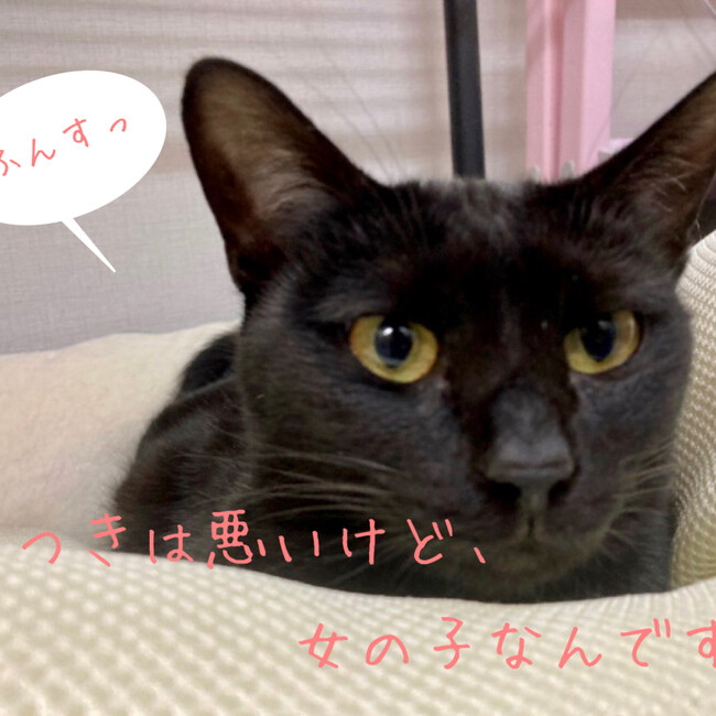 みずほののカバー写真