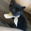募集一旦停止させて頂きます！美人仲良し姉妹です♡