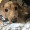 大至急お願いします！
