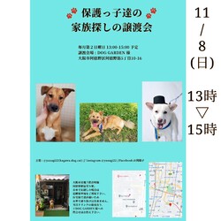 保護っ子達の家族探しの譲渡会