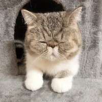 ぽきまる