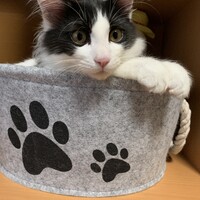 リーク