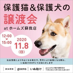 保護猫　& 保護犬　譲渡会