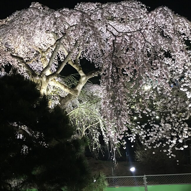rikuままのカバー写真
