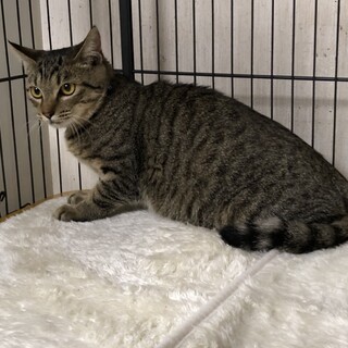 保護されて感謝❕チャンスを掴むために来た金太です