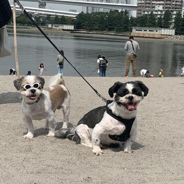 じろうとみつをです！宜しくお願いします‼️