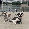 じろうとみつをです！宜しくお願いします‼️