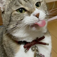 あい