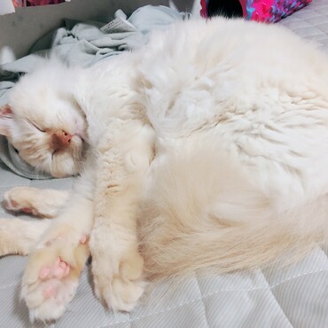 の写真